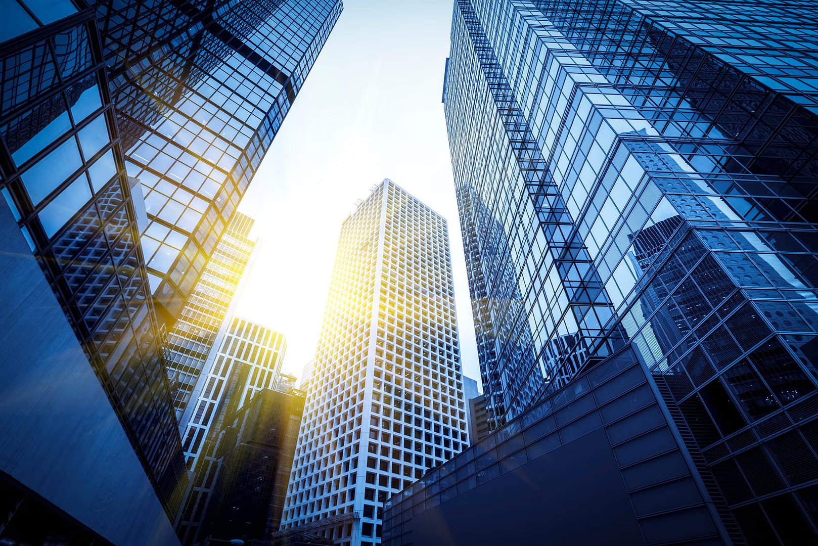 BCI’s Public Markets department becomes Capital Markets & Credit Investments
