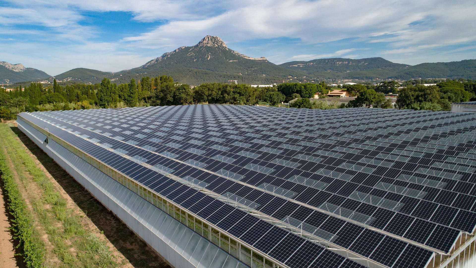 Solar panels on roof of industrial greenhouses Solar panels on roof of industrial greenhouses