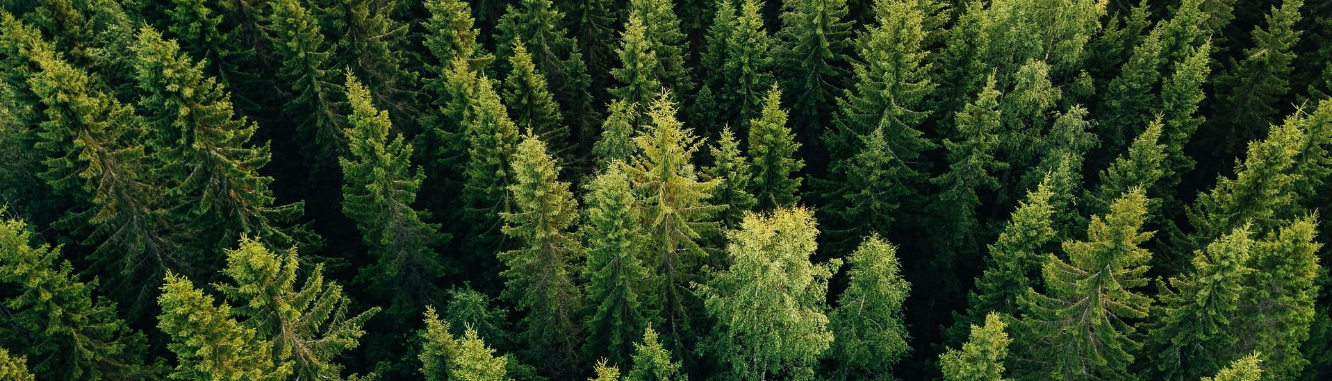 BCI Environmental Investing