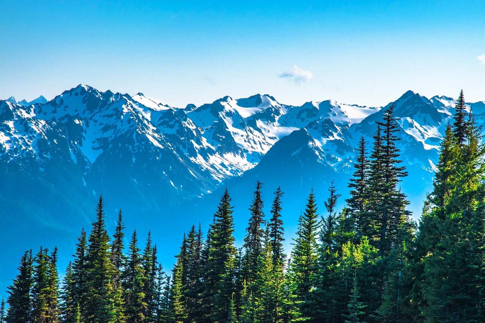 Image of mountain peaks and tree tops Image of mountain peaks and tree tops